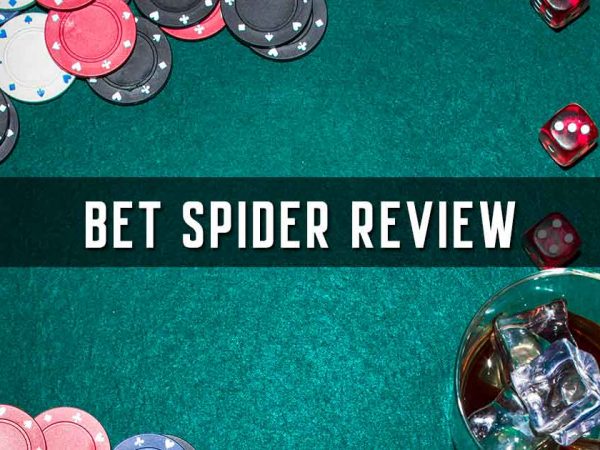 Bet Spider Review