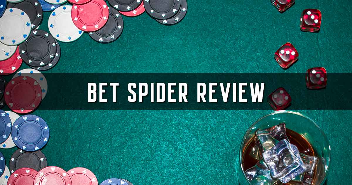 Bet Spider Review